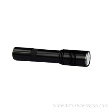 Explosion Proof Torches